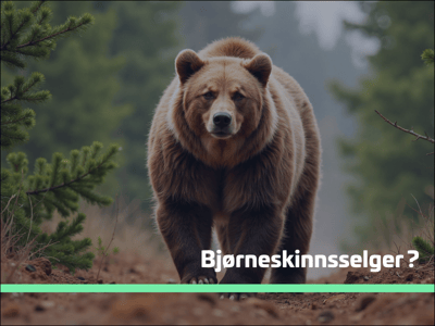 Selger du skinnet uten å ha sett snurten av bjørn?